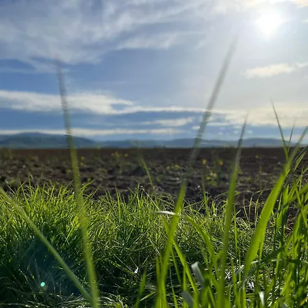 Familie Ahrend Wernigerode