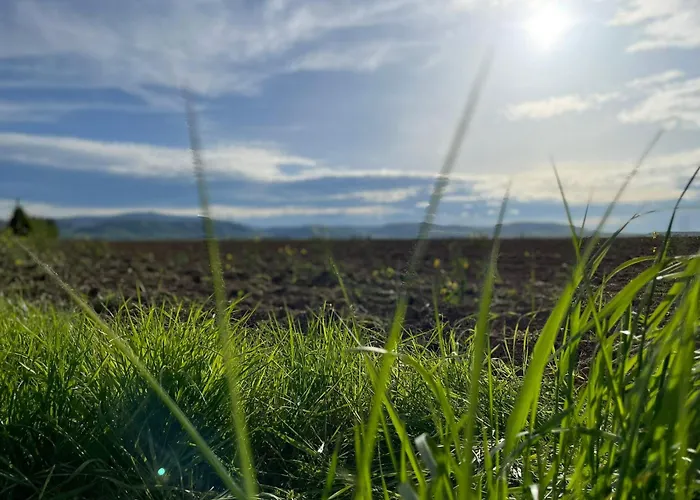 Familie Ahrend Wernigerode
