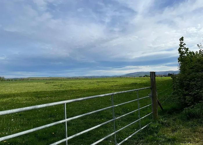 アパート Familie Ahrend *